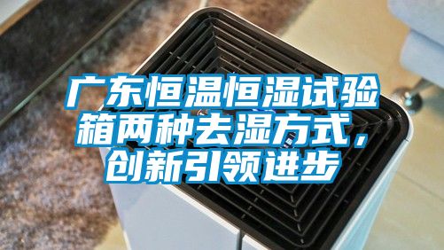廣東恒溫恒濕試驗(yàn)箱兩種去濕方式，創(chuàng)新引領(lǐng)進(jìn)步