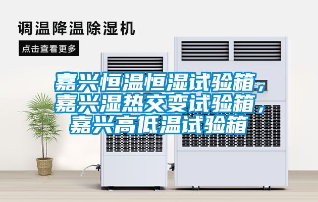 嘉興恒溫恒濕試驗(yàn)箱，嘉興濕熱交變?cè)囼?yàn)箱，嘉興高低溫試驗(yàn)箱