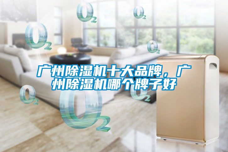 廣州除濕機(jī)十大品牌，廣州除濕機(jī)哪個(gè)牌子好