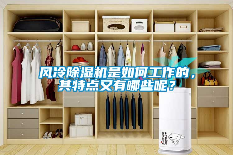 風(fēng)冷除濕機(jī)是如何工作的，其特點(diǎn)又有哪些呢？