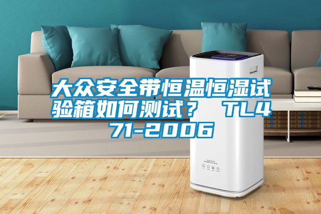 大眾安全帶恒溫恒濕試驗(yàn)箱如何測試？ TL471-2006