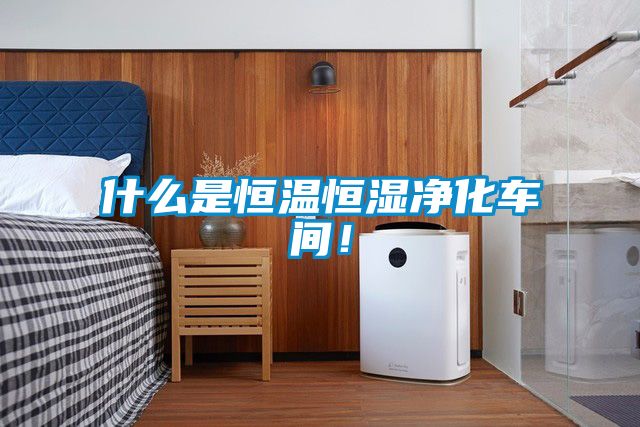 什么是恒溫恒濕凈化車(chē)間！