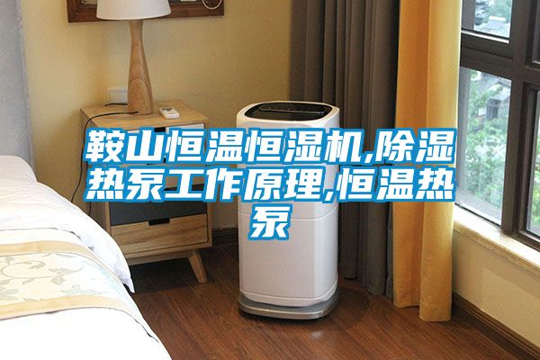 鞍山恒溫恒濕機(jī),除濕熱泵工作原理,恒溫?zé)岜?/></p>
						    <p style=