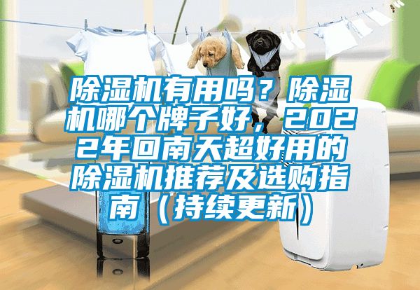 除濕機有用嗎？除濕機哪個牌子好，2022年回南天超好用的除濕機推薦及選購指南（持續(xù)更新）