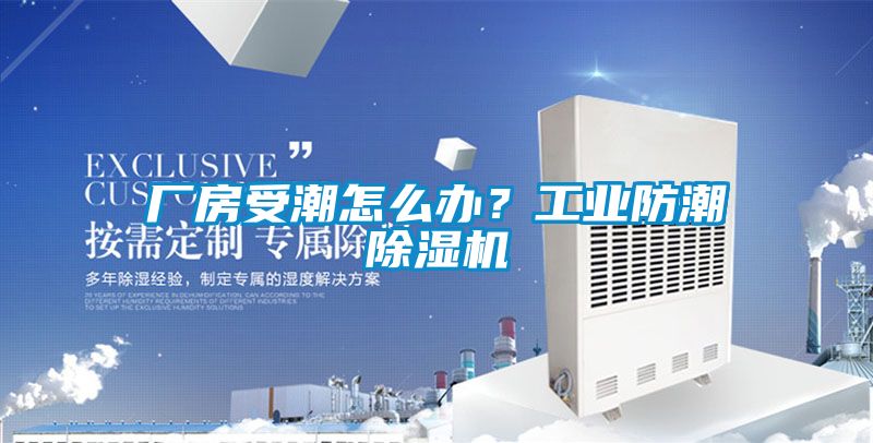 廠房受潮怎么辦？工業(yè)防潮除濕機