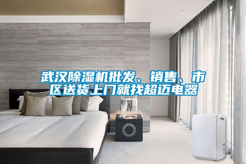 武漢除濕機(jī)批發(fā)、銷(xiāo)售、市區(qū)送貨上門(mén)就找超邁電器