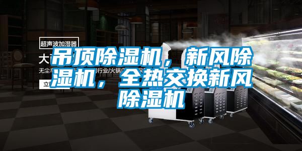 吊頂除濕機，新風(fēng)除濕機，全熱交換新風(fēng)除濕機