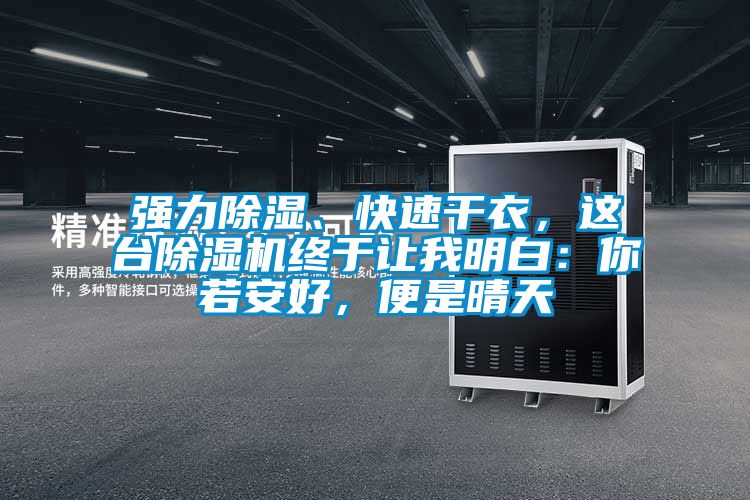 強力除濕、快速干衣，這臺除濕機(jī)終于讓我明白：你若安好，便是晴天