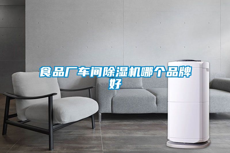 食品廠車(chē)間除濕機(jī)哪個(gè)品牌好