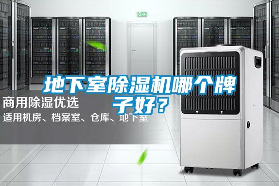 地下室除濕機哪個牌子好？