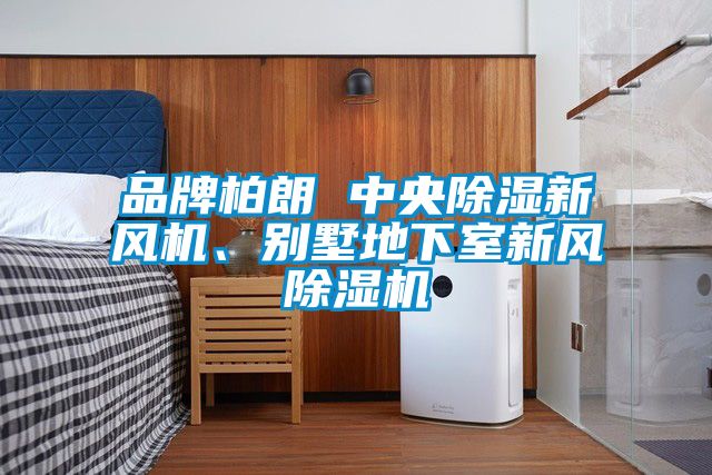 品牌柏朗 中央除濕新風(fēng)機(jī)、別墅地下室新風(fēng)除濕機(jī)