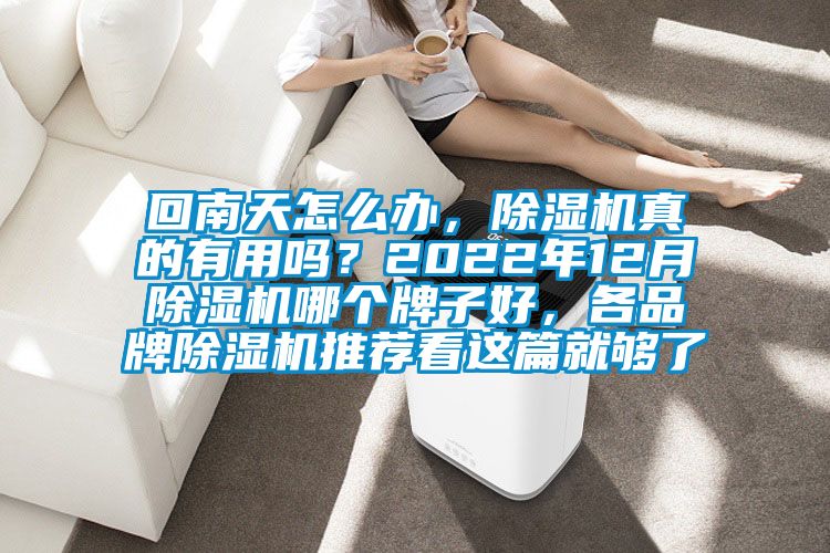 回南天怎么辦，除濕機真的有用嗎？2022年12月除濕機哪個牌子好，各品牌除濕機推薦看這篇就夠了