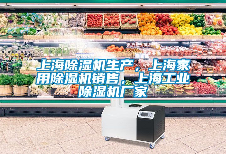 上海除濕機生產，上海家用除濕機銷售，上海工業(yè)除濕機廠家
