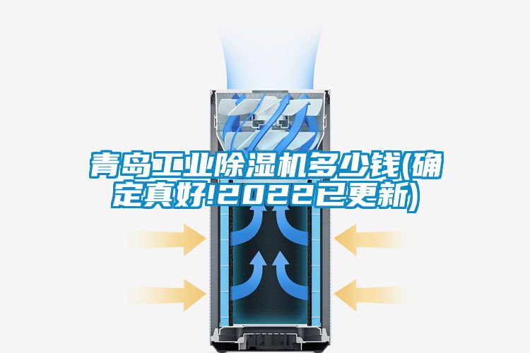 青島工業(yè)除濕機(jī)多少錢(確定真好!2022已更新)