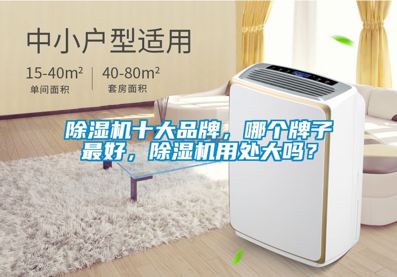 除濕機十大品牌，哪個牌子最好，除濕機用處大嗎？