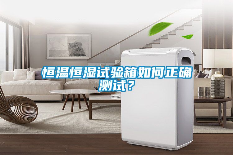 恒溫恒濕試驗(yàn)箱如何正確測試？