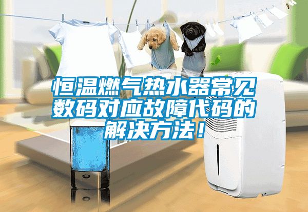 恒溫燃?xì)鉄崴鞒Ｒ姅?shù)碼對應(yīng)故障代碼的解決方法！