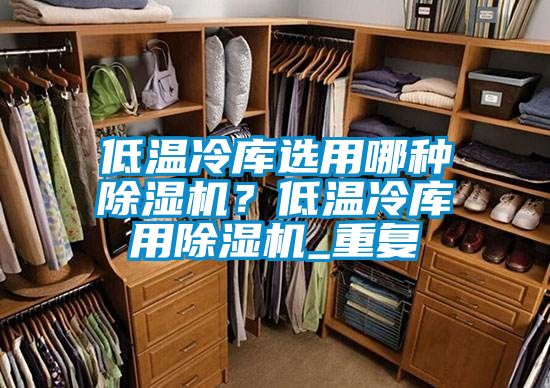 低溫冷庫選用哪種除濕機(jī)？低溫冷庫用除濕機(jī)_重復(fù)