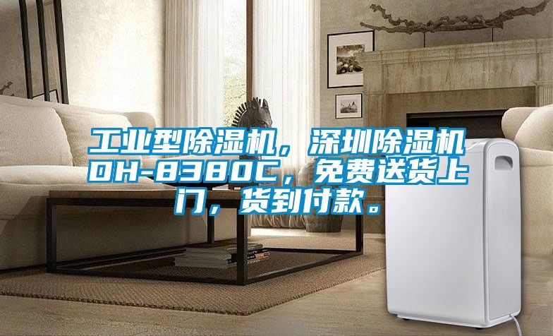工業(yè)型除濕機(jī)，深圳除濕機(jī)DH-8380C，免費(fèi)送貨上門，貨到付款。