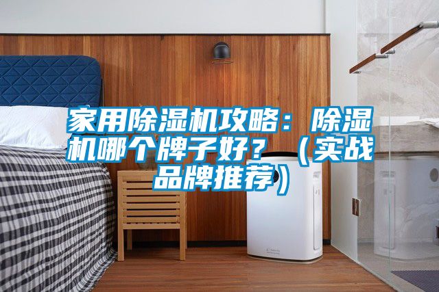 家用除濕機(jī)攻略：除濕機(jī)哪個(gè)牌子好？（實(shí)戰(zhàn)品牌推薦）