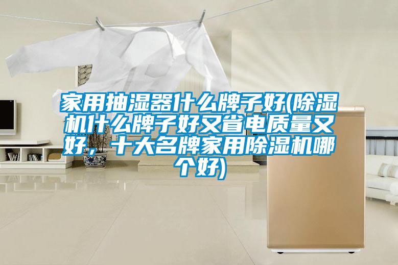 家用抽濕器什么牌子好(除濕機(jī)什么牌子好又省電質(zhì)量又好，十大名牌家用除濕機(jī)哪個(gè)好)