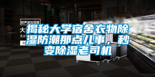 揭秘大學(xué)宿舍衣物除濕防潮那點(diǎn)兒事，秒變除濕老司機(jī)