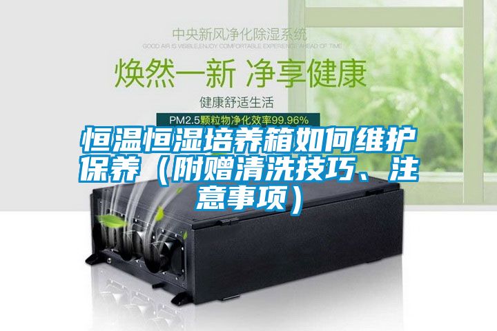 恒溫恒濕培養(yǎng)箱如何維護保養(yǎng)（附贈清洗技巧、注意事項）