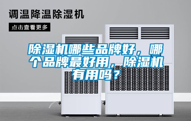除濕機(jī)哪些品牌好，哪個(gè)品牌最好用，除濕機(jī)有用嗎？