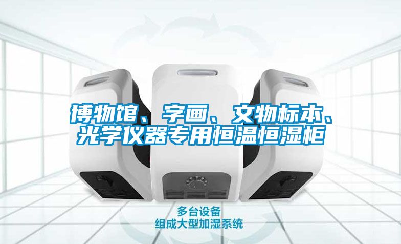 博物館、字畫、文物標本、光學(xué)儀器專用恒溫恒濕柜
