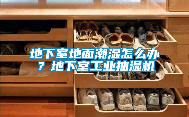 地下室地面潮濕怎么辦？地下室工業(yè)抽濕機(jī)