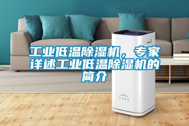 工業(yè)低溫除濕機，專家詳述工業(yè)低溫除濕機的簡介