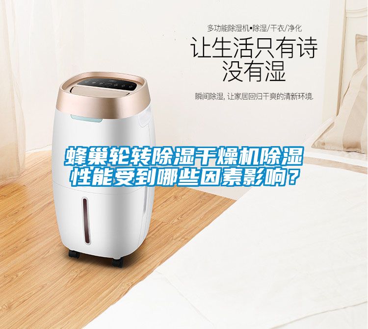 蜂巢輪轉(zhuǎn)除濕干燥機(jī)除濕性能受到哪些因素影響？