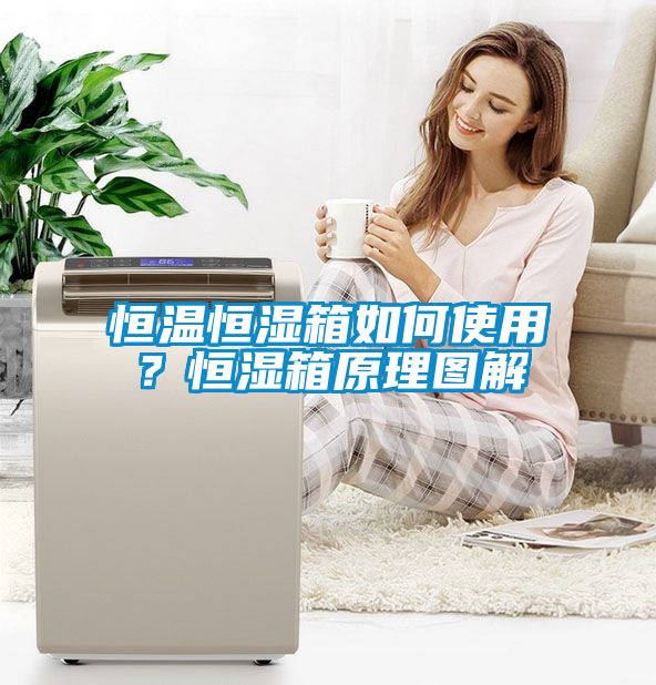 恒溫恒濕箱如何使用？恒濕箱原理圖解