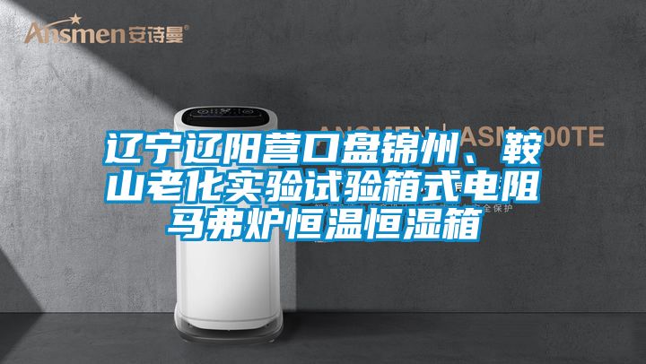遼寧遼陽營口盤錦州、鞍山老化實(shí)驗(yàn)試驗(yàn)箱式電阻馬弗爐恒溫恒濕箱