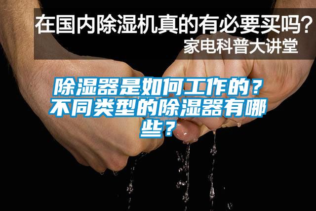 除濕器是如何工作的？不同類型的除濕器有哪些？