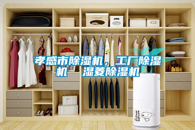孝感市除濕機，工廠除濕機  濕菱除濕機