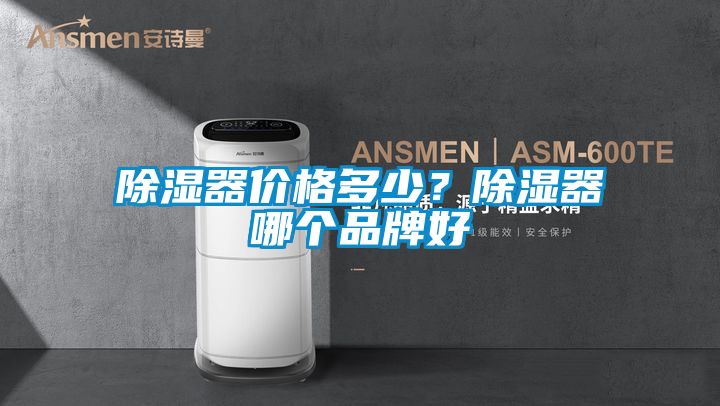 除濕器價格多少？除濕器哪個品牌好