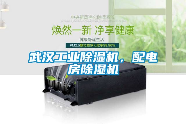 武漢工業(yè)除濕機(jī)，配電房除濕機(jī)