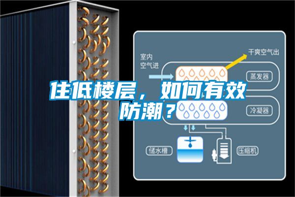 住低樓層，如何有效防潮？