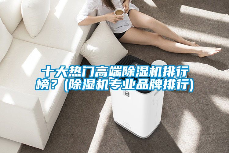 十大熱門高端除濕機排行榜？(除濕機專業(yè)品牌排行)