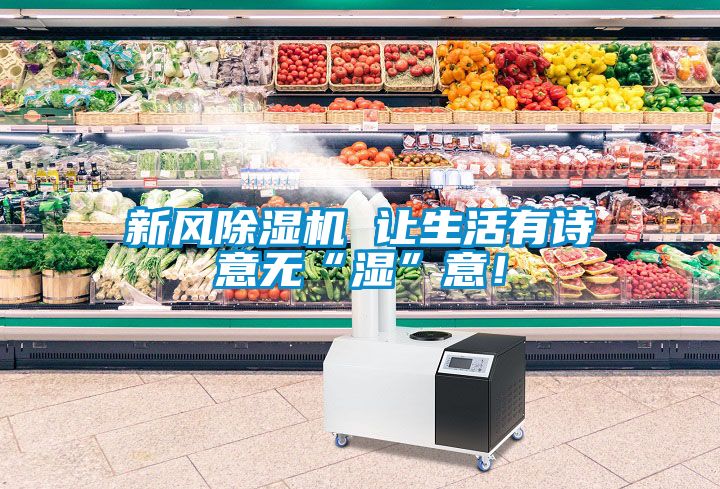 新風(fēng)除濕機(jī) 讓生活有詩意無“濕”意！