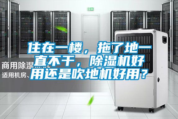 住在一樓，拖了地一直不干，除濕機好用還是吹地機好用？