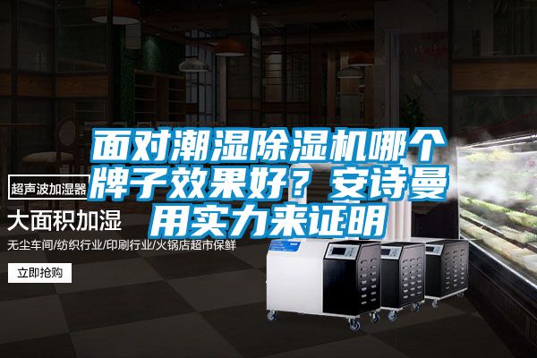 面對潮濕除濕機(jī)哪個(gè)牌子效果好？安詩曼用實(shí)力來證明