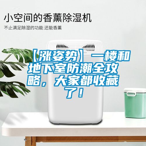 【漲姿勢】一樓和地下室防潮全攻略，大家都收藏了！