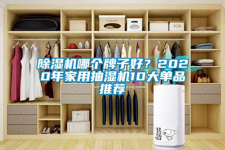 除濕機哪個牌子好？2020年家用抽濕機10大單品推薦