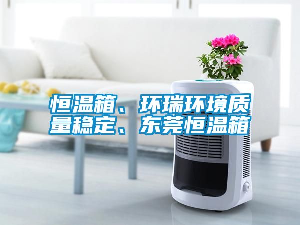恒溫箱、環(huán)瑞環(huán)境質(zhì)量穩(wěn)定、東莞恒溫箱