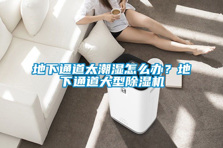 地下通道太潮濕怎么辦？地下通道大型除濕機(jī)