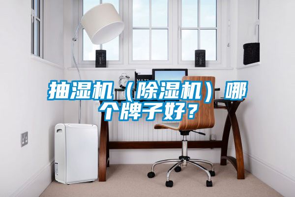抽濕機（除濕機）哪個牌子好？
