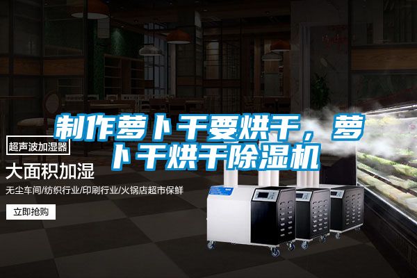 制作蘿卜干要烘干，蘿卜干烘干除濕機