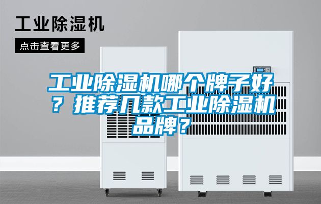 工業(yè)除濕機哪個牌子好？推薦幾款工業(yè)除濕機品牌？